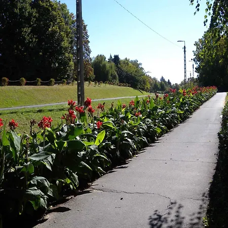 公寓 In 38691 佐洛卡罗斯